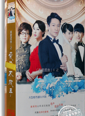 正版电视剧 真爱谎言2之爱你不放手 14DVD 精装版 李宗翰 潘虹