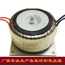 Круглые трансформаторы туалетный огонь корова 220V Ротор 110V30 В кольцо скот против анти -напряжения напряжение