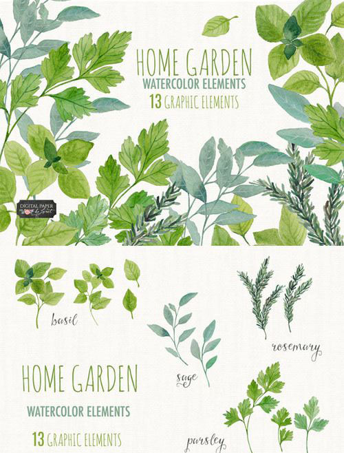 P0156高清PS设计素材 水彩风格树叶片图案松树阔叶树PNG免抠图