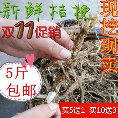 新鲜野生桔梗 苟宝 狗宝药食同源湿桔梗 新鲜 - 封面