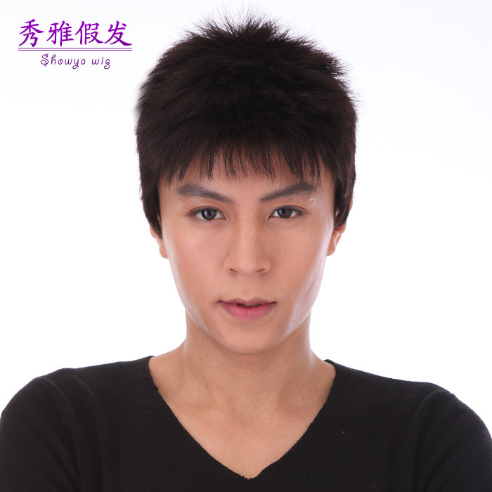 Perruque      cheveux raides Court - Ref 2613747 Image 1