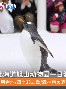 北海道登别洞爷湖小樽全景/旭山动物园美瑛青池精灵露台一日游