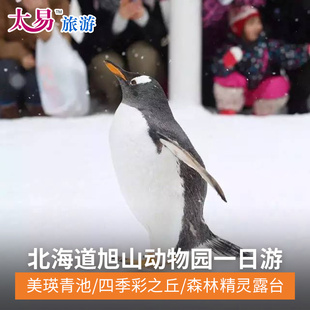 北海道登别洞爷湖小樽全景/旭山动物园美瑛青池精灵露台一日游