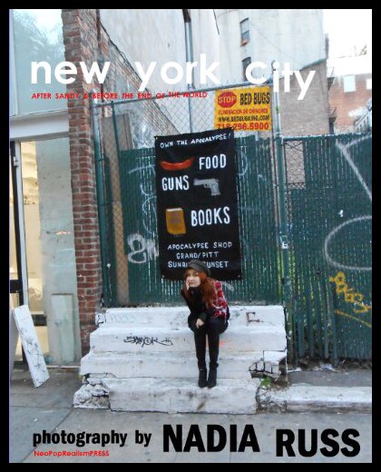 【预售】New York City: After Sandy & Before the End of th