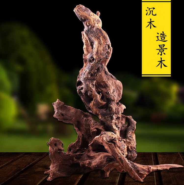 米兰花圃空气凤梨底座木树根造景