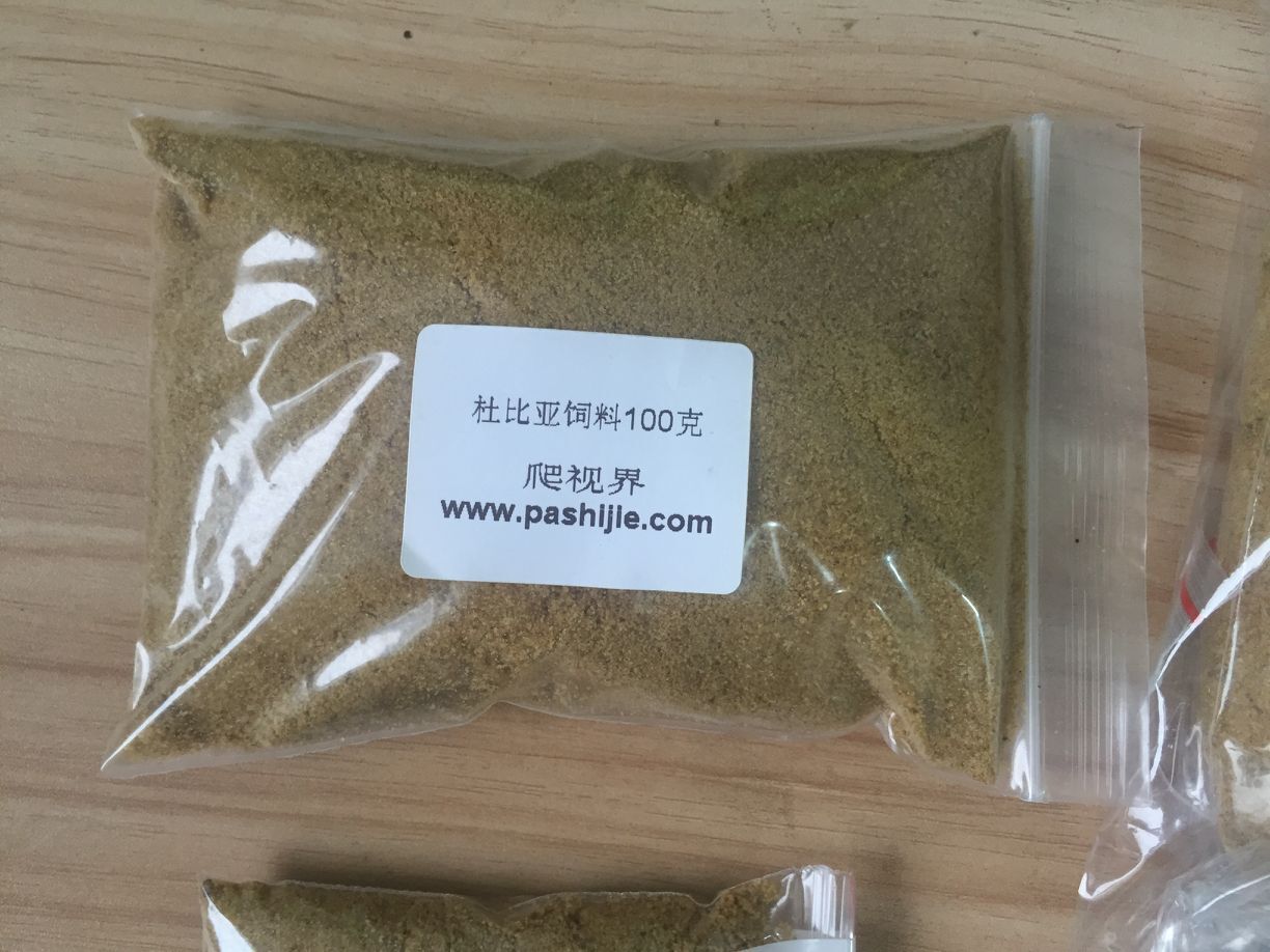 自配杜比亚饲料大麦虫