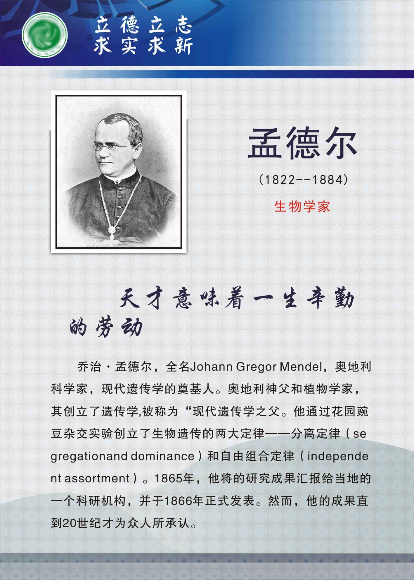 735海报展板733校园文化实验室科学名人生物学家挂图孟德尔