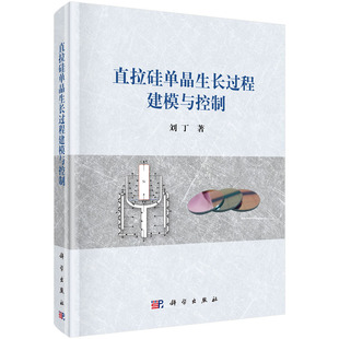 直拉硅单晶生长过程建模与控制