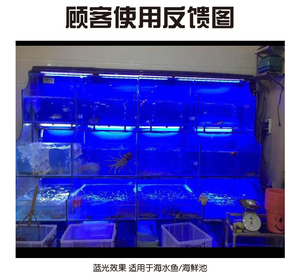 鱼缸制作水族箱设计 海鲜池设计 恒温机安装维修调试咨询