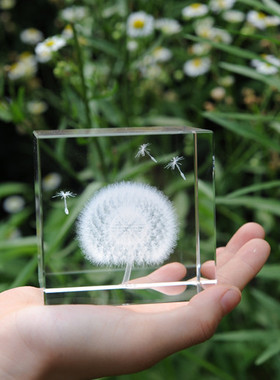 蒲公英水晶立方体同事风植物标本