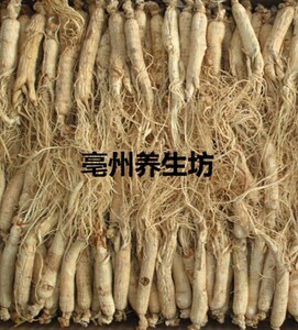 人参 白参包邮东北长白山白参条 生晒参带须白参 500克装