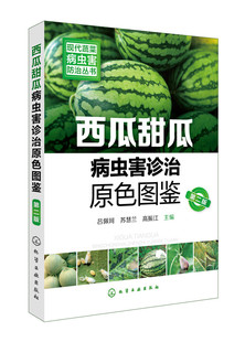 现代蔬菜病虫害防治丛书 西瓜甜瓜病虫害诊治原色图鉴 第二版  大棚西瓜甜瓜种植技术书籍 大棚种西瓜甜瓜栽培关键技术书籍