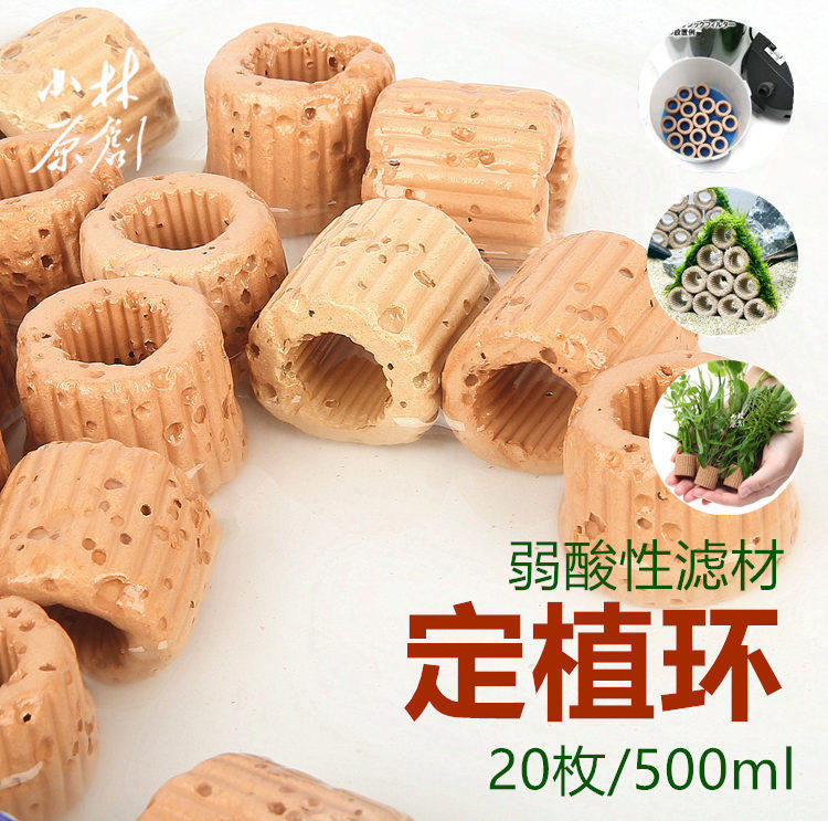 固定水草素材模板 固定水草图片下载 小麦优选