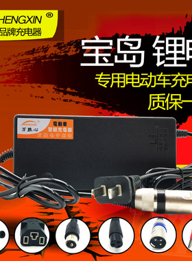 宝岛锂电池电动车自行车充电器 24V36V48V60V42V2A54.6V3A适用
