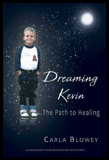 【预售】Dreaming Kevin: The Path to Healing: 2014 Expande