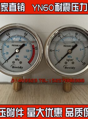 不锈钢耐震压力表YN-60 0-0.25/0.4/0.6/1/1.6/2.5/4/6MPA油压表