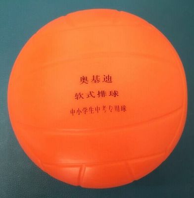 Ballon de volley - Ref 2010806 Image 1
