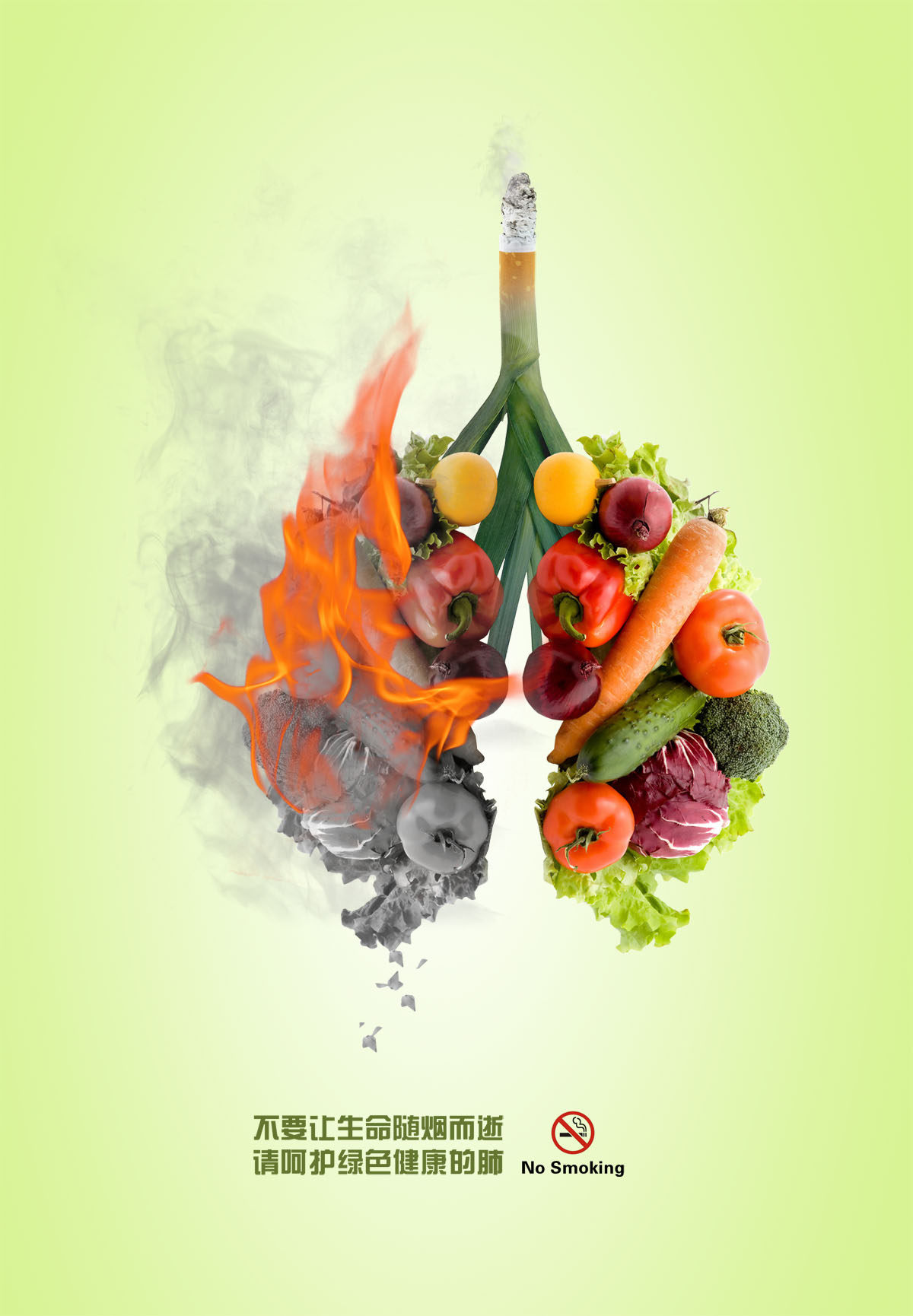 752海报印制展板写真喷绘785肺部禁烟公益图片无烟日健康肺部