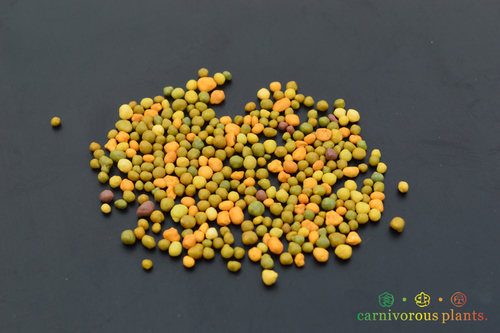 奥绿食虫植物缓释肥新手推荐