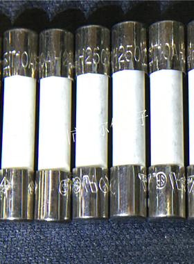 力特陶瓷保险丝T10AH250VP 10A250V 5*20MM延时慢断保险丝 可直拍