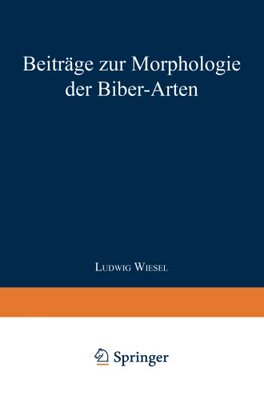 【预订】Beitrage Zur Morphologie Der Biber-A...
