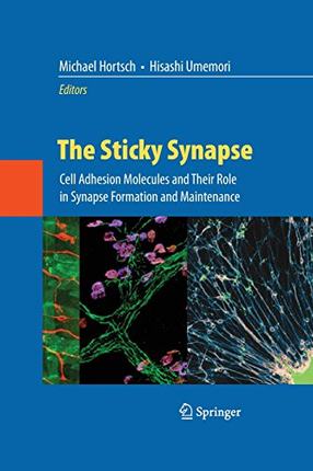 【预订】The Sticky Synapse: Cell Adhesion Mo...