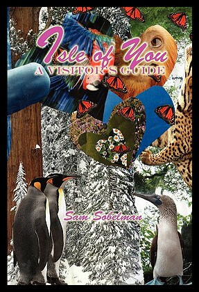 美国库房发货，通常付款后5-8周到货！