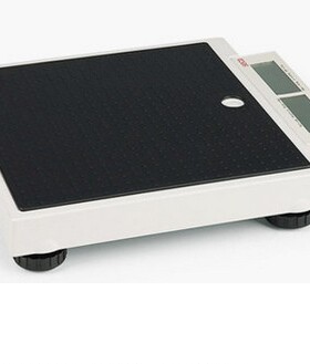 德国赛康seca 878\877 电子体重秤200kg 便携台秤 人体秤 双屏显