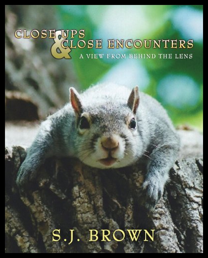 美国库房发货，通常付款后5-8周到货！