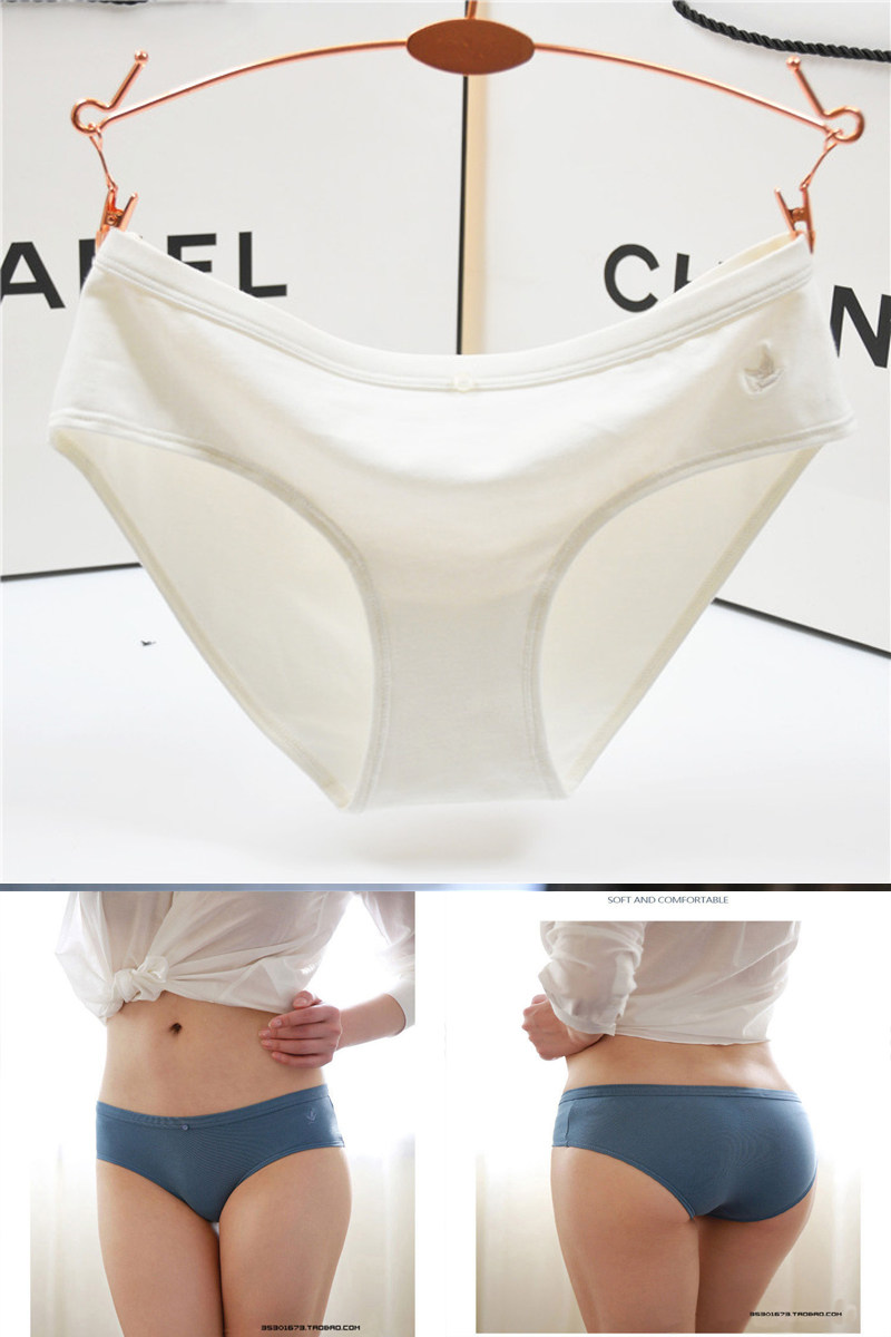 Slip jeunesse simple en coton - Ref 642746 Image 5