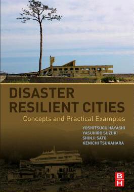 【预订】Disaster Resilient Cities