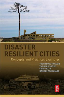 【预订】Disaster Resilient Cities