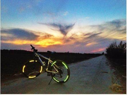 Décoration pour vélo - Ref 2290915 Image 1