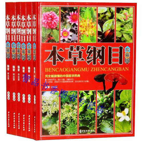 本草图谱素材模板 本草图谱图片下载 小麦优选
