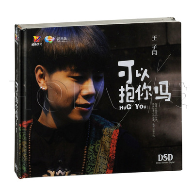 威扬正版 王子月:可以抱你吗(CD) 2015年新专辑