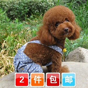 夏天新款春夏装 狗狗衣服宠物衣服圆点蝴蝶结牛仔泰迪比熊背带裤