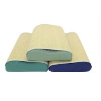 Phân bổ mới 07 đơn và biển không quân quạt gối lõi xanh Wu 0406 tiêu chuẩn pad gối ký túc xá - Gối gối chống trào ngược cho bé