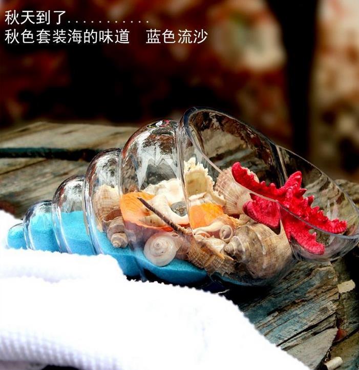 创意海螺形玻璃花瓶透明水培花盆多肉盆绿萝水养植物家用海螺花瓶