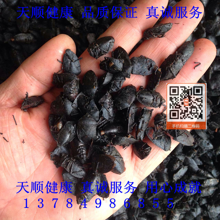 九香虫 1千克860 正品 大个