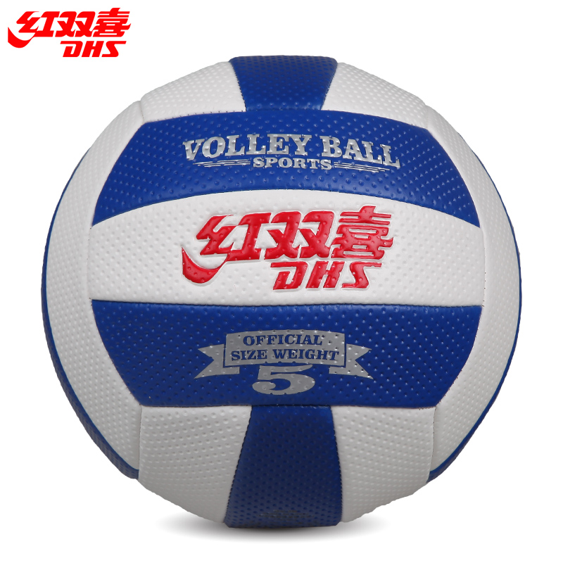 Ballon de volley - Ref 2010253 Image 1