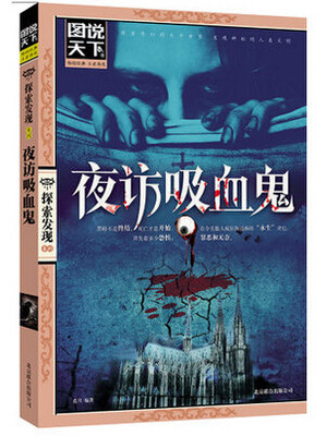 夜访吸血鬼小说