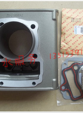大江望江隆鑫沸腾式水冷发动机套缸CGT125 175 200 中缸体活塞环