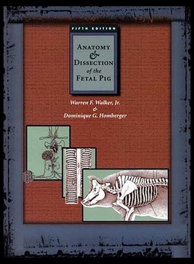 【预售】Anatomy and Dissection of the Fetal Pig