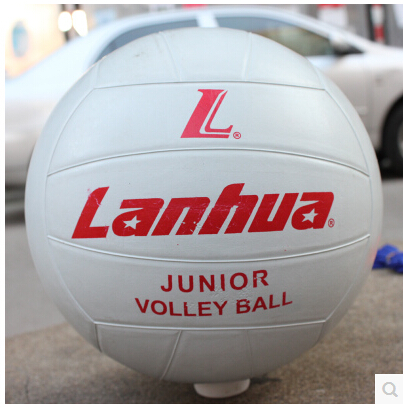 Ballon de volley - Ref 2009627 Image 1