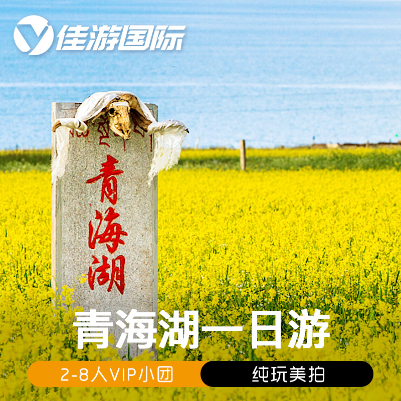 青海旅游2-8人VIP精致小团 青海湖纯玩一日游 西宁往返接送含门票