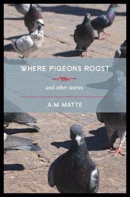 【预售】Where Pigeons Roost