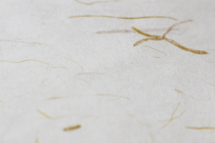 日本和纸白色稻草纸稻香纸信封纸茶叶包装纸艺术特礼品包装手工纸