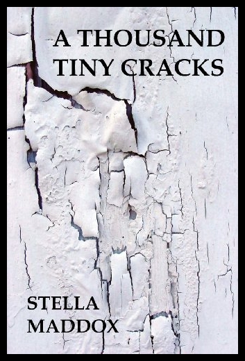 【预售】a thousand tiny cracks