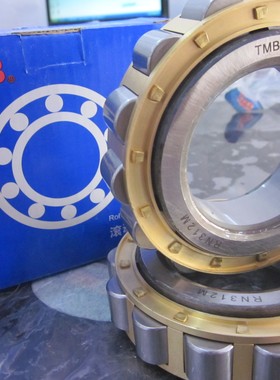 浙江天马TMB轴承RN219EM NF219 N219M 502219 12219 圆柱滚子轴承