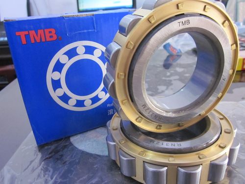 浙江天马TMB轴承NUP219EM RNU219 292219 92219 圆柱滚子轴承